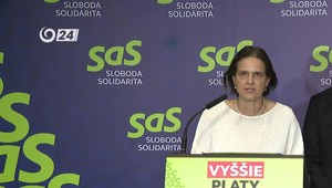 Tlačová beseda SaS v reakcii na správu EK