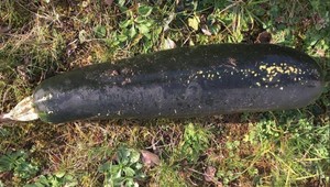 FOTO: Dôchodca zalarmoval políciu pre bombu. Nakoniec ju zneškodňoval sám