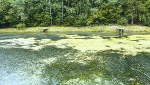 Tragédia na Duchonke. Patrika (†24) našli mŕtveho v chate