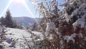 VIDEO: Chcete sa vyhnúť zástupom turistov? Poteší vás Kráľova hoľa