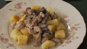 Hlavné jedlo: Lesný vták