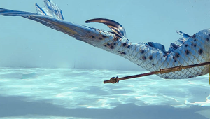 Aj Slovensko má svoju krásnu morskú pannu: Žijem svoj sen!