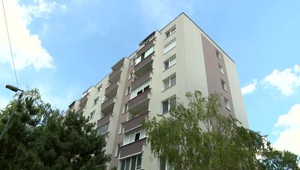 Pri deratizácii zabil zákonom chránené vtáky, teraz mu hrozia dva roky väzenia