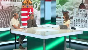 Štúdio 24: Fidesz analyzuje volebný neúspech