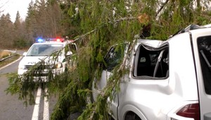 Vietor zvalil tisíce stromov. Lesníci vydali varovanie pre turistov