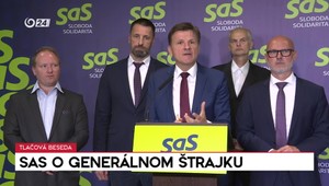 Tlačová beseda SaS o generálnom štrajku