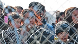 Exkluzívny prieskum agentúry AKO pre TV JOJ 24: Mala by budúca vláda sprísniť boj proti nelegálnej migrácii?