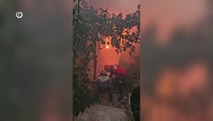 Európu trápia extrémne horúčavy. Turecko bojuje s požiarmi