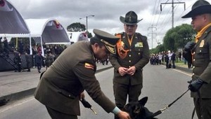 Drogový kartel vypísal odmenu za hlavu policajného psa. Kazí im obchody, ponúkajú 200 miliónov