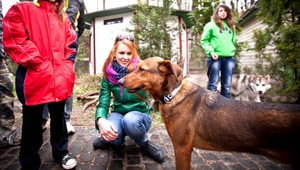 Úspešná akcia! Dvadsať psíkov si našlo nových majiteľov