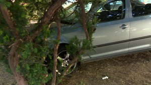 Policajnú naháňačku ukončil až náraz do stromu. Šofér už pozná trest