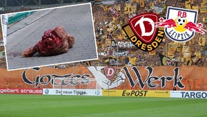 Štedrosť tŕňom v oku. Býčia hlava počas zápasu Nemeckého pohára