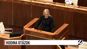 Hodina otázok v parlamente