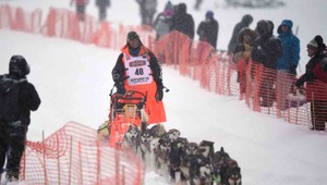 Nórsky mašér nemôže prepraviť psov na Aljašku, obhajca Iditarodu bude chýbať