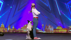 Dog dancing, aký ste ešte nevideli: Tento pes tancuje na „Gangnam Style“
