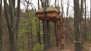 Dobrodružstvo v korunách stromov. Medzi listami môže vyrásť aj dom