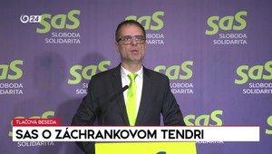 Tlačová beseda SaS o záchrankovom tendri
