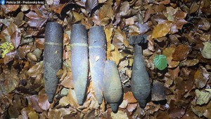 V lese našli muníciu z 2. svetovej vojny. Zaistili granáty či míny