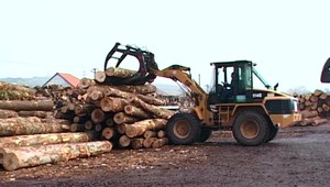 Nová aplikácia na sledovanie ťažby dreva: Ťažbu nezastaví, ale ľudia si môžu pozrieť v akom rozsahu miznú stromy