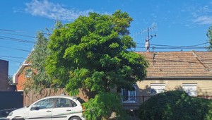 Mladík, ktorý pobodal svoju rodinu, už čelí obvineniu. Hrozí mu najvyšší trest