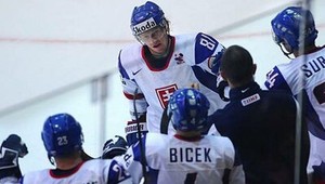 Slovensko bude kandidovať na usporiadanie MS 2018