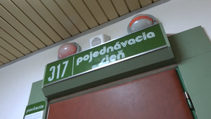 Mladá žena, ktorá prehodila cez plot novorodenca, dostala od súdu 20 rokov