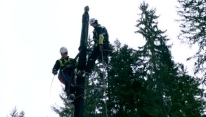 Dva veterné dni spôsobili poriadnu kalamitu. Mnohé rodiny zostali bez elektriny