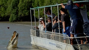 Adrenalínová dovolenka? Turisti kŕmia krokodíla...