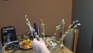 Mini vajíčka, maxi živiny: Prepeličie vajíčka sú ideálne pre zdravie, ale i na Veľkú noc