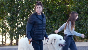 Paparazzi nafotili hviezdu Beverly Hills 90210: Ufff, seriálovú mrchu poriadne nahlodal zub času