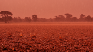 Strednú Európu zasiahne zvláštny jav. Pršať má "krvavý dážď"