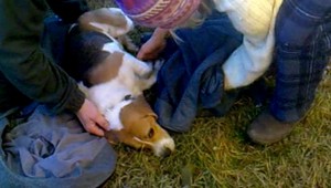 Nikiho zrazilo auto. Takto bojovali o jeho život