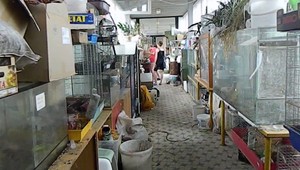 Prevádzkarka ZOO kútiku zverila starostlivosť o zvieratá deťom. Zvieratá tým odsúdila na utrpenie