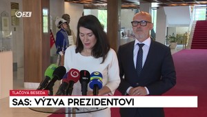 Tlačová beseda strany SaS: Výzva prezidentovi