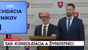 Tlačová beseda SaS: Konsolidácia a živnostníci
