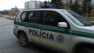 V obchode jej ukradla kabelku, potom vybielila účet