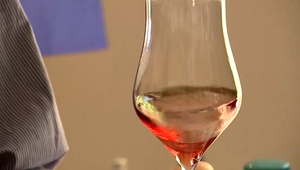 VIDEO: Víno ako najlepšia reklama? Slovensko prilákalo svetových odborníkov