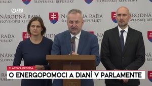 Tlačová beseda SaS o energopomoci a dianí v parlamente
