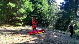 Muža pri pílení zavalil strom. Pre stromy sa na miesto nevedel dostať ani vrtuľník