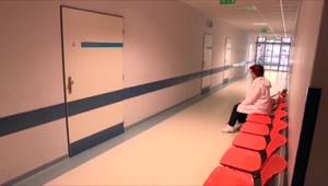 Volebná encyklopédia Slovenska: Politici by mali zdravotníctvo prestať používať na politické účely