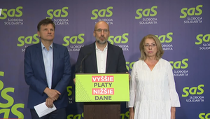 Tlačová beseda strany SaS o aktuálnych témach