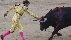 Býčie zápasy sa po trojročnom zákaze vracajú do San Sebastianu