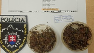 Vláda schválila novelu Trestného zákona. Odlíši dílerov od užívateľov drog