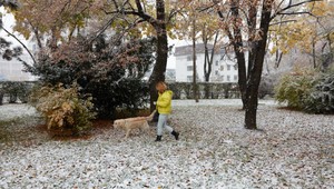 Cez víkend prídu ďalšie mrazy, takto ochránite vaše rastliny