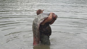 Pre ženu sa kúpanie v jazere stalo hororom. Do nohy jej zakusol obrovský sumec