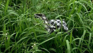 Zakrvavené dieťa (4) našli na ihrisku. Zo znásilnenia je podozrivý mladík (17)