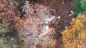 Lietadlo sa zrútilo do hustého lesa. Neprežilo šesť ľudí vrátane dieťaťa