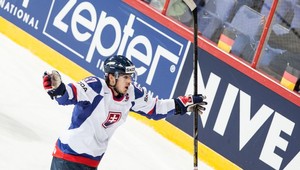 Koho sa boja najviac Fíni ? Predsa Záborského (25)!