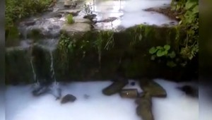 Voda v potoku sa premenila akoby na mlieko. Ohrozené zostali viaceré chránené živočíchy