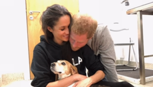 Tisíce sĺz a zlomené srdce! Meghan prišla o milovaného priateľa!